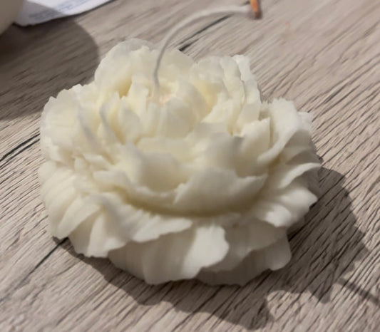 Candela peonia 64gr - HAIR POINT SHOP SRL