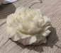 Candela peonia 64gr - HAIR POINT SHOP SRL